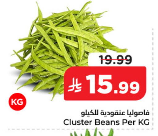 available at نستو in مملكة العربية السعودية, السعودية, سعودية - الأحساء‎