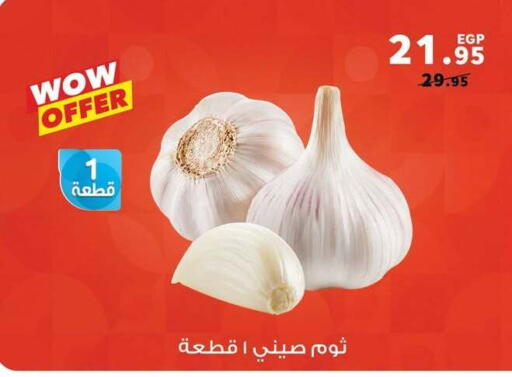 available at بنده in Egypt - القاهرة