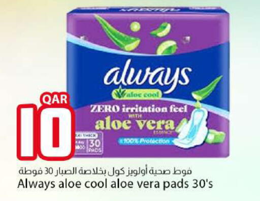 available at دانا ماركت in قطر - الوكرة