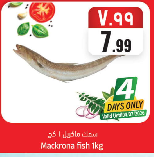 available at ستي فلاور in مملكة العربية السعودية, السعودية, سعودية - الجبيل‎