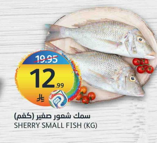 available at مركز الجزيرة للتسوق in مملكة العربية السعودية, السعودية, سعودية - الرياض