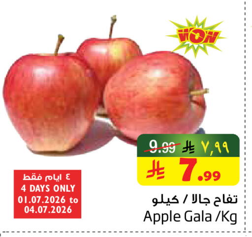 Apple available at ليان هايبر in مملكة العربية السعودية, السعودية, سعودية - المنطقة الشرقية