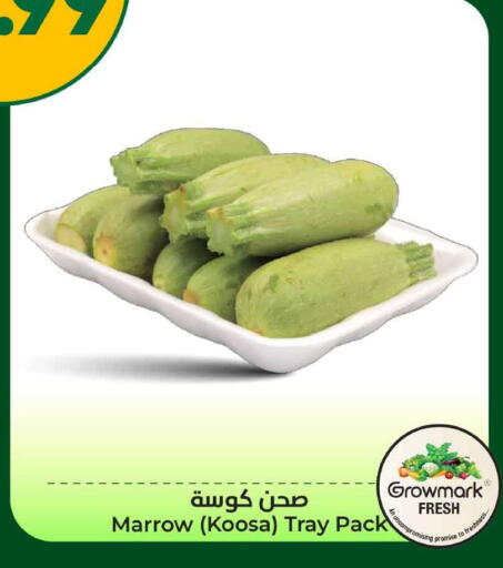Marrow available at هايبر الوفاء in مملكة العربية السعودية, السعودية, سعودية - الخرج