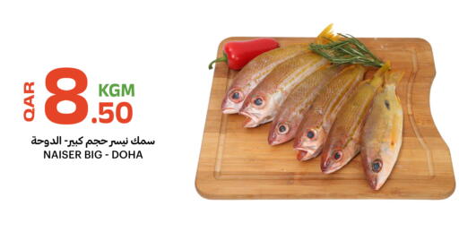 available at البلدي اليوم in قطر - الوكرة