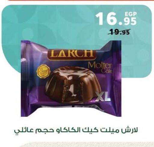 available at بنده in Egypt - القاهرة