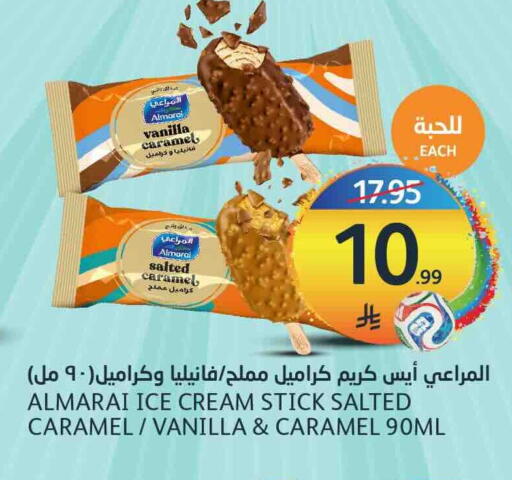 Vanilla available at مركز الجزيرة للتسوق in مملكة العربية السعودية, السعودية, سعودية - الرياض