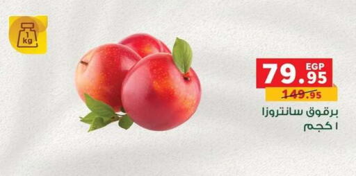 available at Panda  in Egypt - Cairo