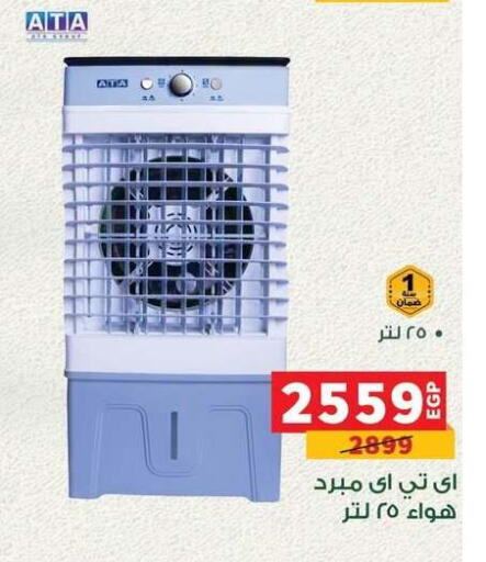 available at Panda  in Egypt - Cairo