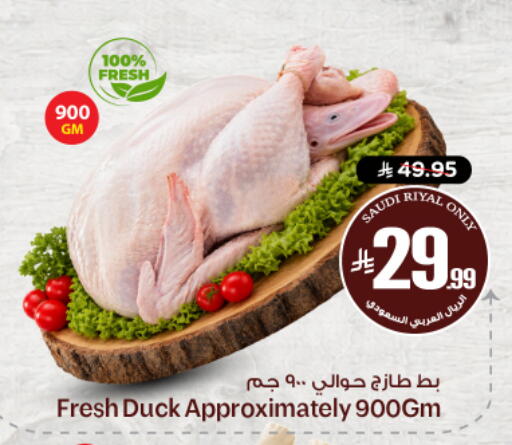 available at نستو in مملكة العربية السعودية, السعودية, سعودية - الرياض