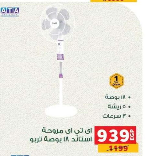 available at Panda  in Egypt - Cairo