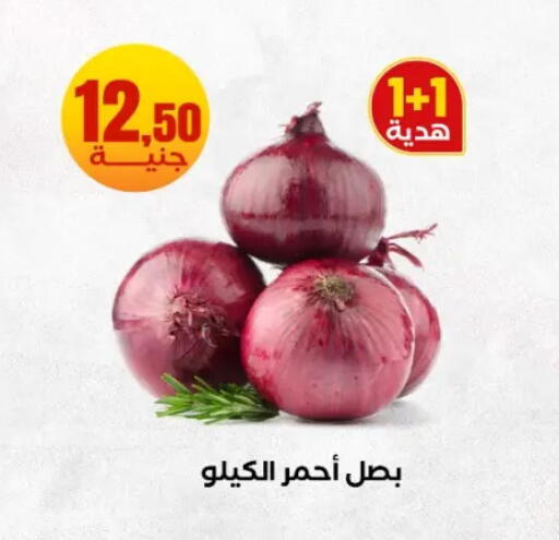 available at المحلاوي ستورز in Egypt - القاهرة