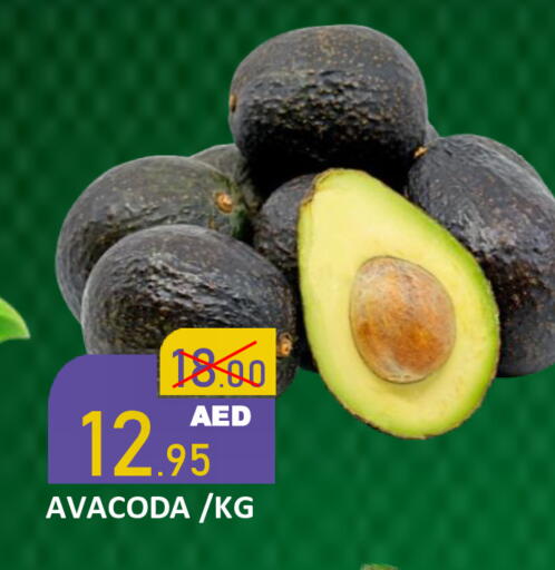 available at رويال جلف هايبرماركت in الإمارات العربية المتحدة , الامارات - أبو ظبي
