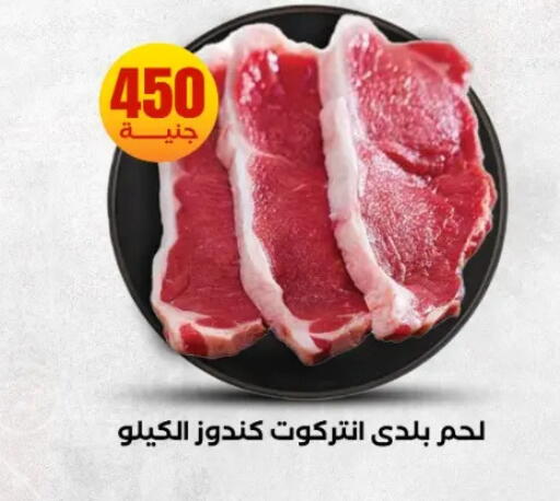available at المحلاوي ستورز in Egypt - القاهرة