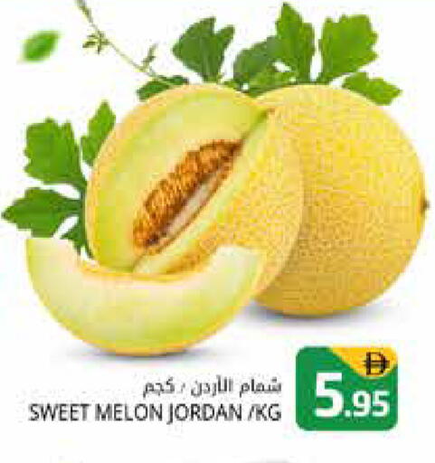 Melon from Jordan available at هايبر ماركت باسونز in الإمارات العربية المتحدة , الامارات - دبي