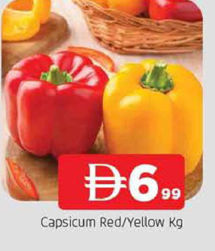 Capsicum available at المدينة in الإمارات العربية المتحدة , الامارات - الشارقة / عجمان