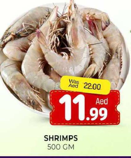 available at المدينة in الإمارات العربية المتحدة , الامارات - الشارقة / عجمان