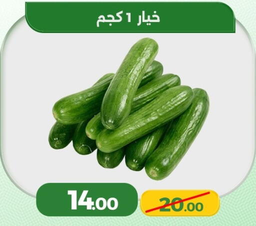 available at Green Tree Hypermarket - Sohag in Egypt - Cairo