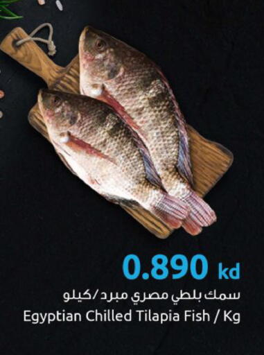 available at مركز سلطان in الكويت - محافظة الجهراء