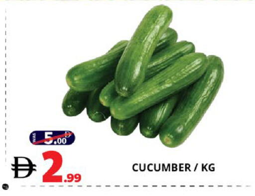 Cucumber available at اكسبرس المدينة هايبرماركت in الإمارات العربية المتحدة , الامارات - أبو ظبي