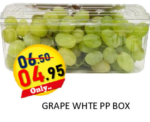 available at رويال جلف هايبرماركت in الإمارات العربية المتحدة , الامارات - أبو ظبي