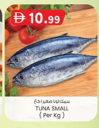 available at Safa Express Supermarket in UAE - Abu Dhabi