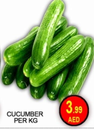Cucumber available at جرين جيفت متجر أقسام in الإمارات العربية المتحدة , الامارات - دبي