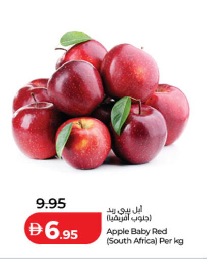 Apple from South Africa available at Lulu Hypermarket in UAE - Dubai