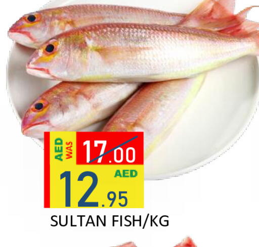available at رويال جلف هايبرماركت in الإمارات العربية المتحدة , الامارات - أبو ظبي