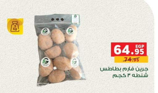 available at بنده in Egypt - القاهرة