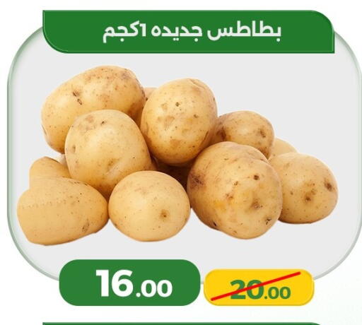 available at Green Tree Hypermarket - Sohag in Egypt - Cairo