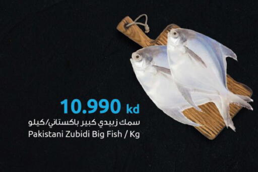 available at مركز سلطان in الكويت - محافظة الجهراء