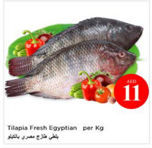 available at نستو هايبرماركت in الإمارات العربية المتحدة , الامارات - أبو ظبي
