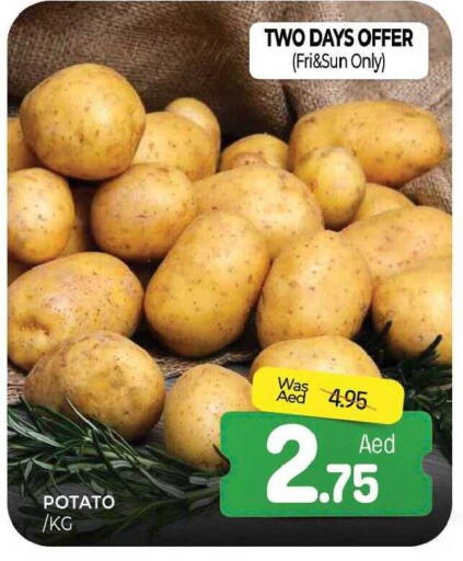 Potato available at المدينة in الإمارات العربية المتحدة , الامارات - الشارقة / عجمان