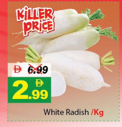 Radish available at DESERT FRESH MARKET  in UAE - Abu Dhabi