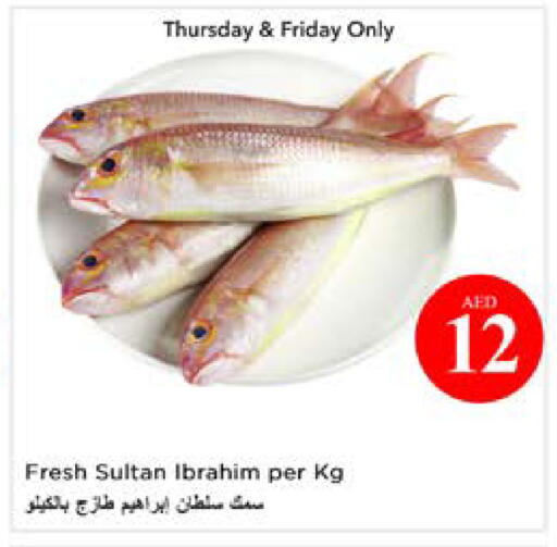 available at نستو هايبرماركت in الإمارات العربية المتحدة , الامارات - أبو ظبي