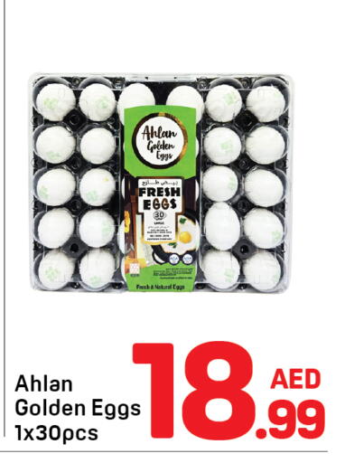 available at Day to Day Department Store in UAE - Dubai