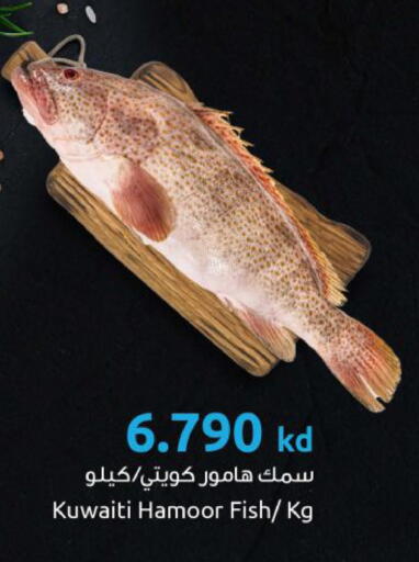 available at مركز سلطان in الكويت - محافظة الجهراء