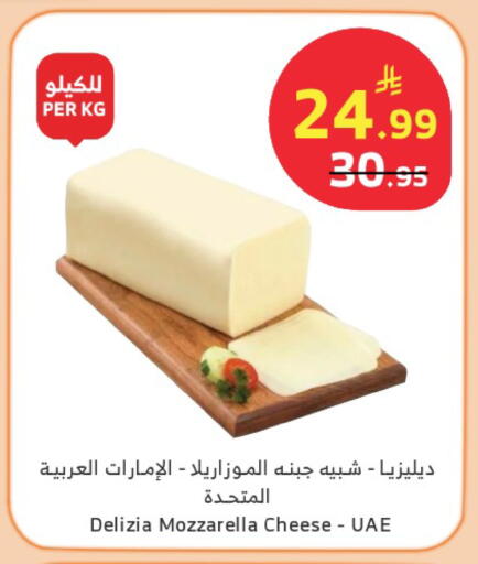 available at Al Raya in KSA, Saudi Arabia, Saudi - Najran