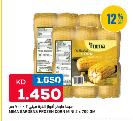 available at غلف مارت in الكويت - محافظة الجهراء
