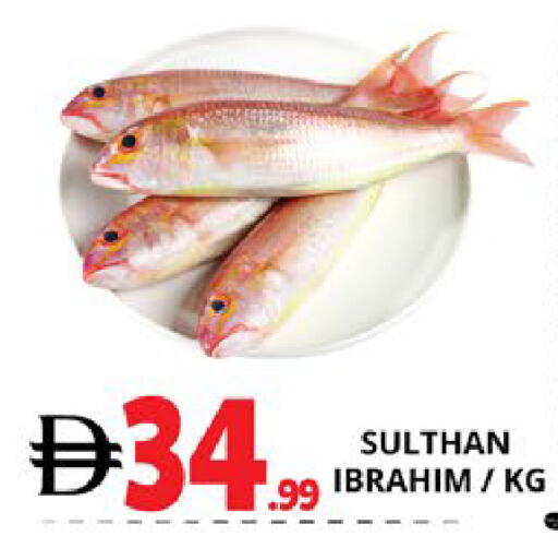 available at اكسبرس المدينة هايبرماركت in الإمارات العربية المتحدة , الامارات - أبو ظبي