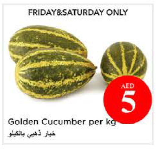 Cucumber available at نستو هايبرماركت in الإمارات العربية المتحدة , الامارات - الشارقة / عجمان