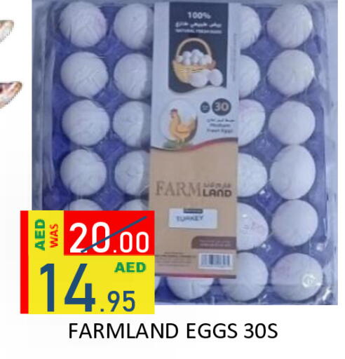 available at رويال جلف هايبرماركت in الإمارات العربية المتحدة , الامارات - أبو ظبي