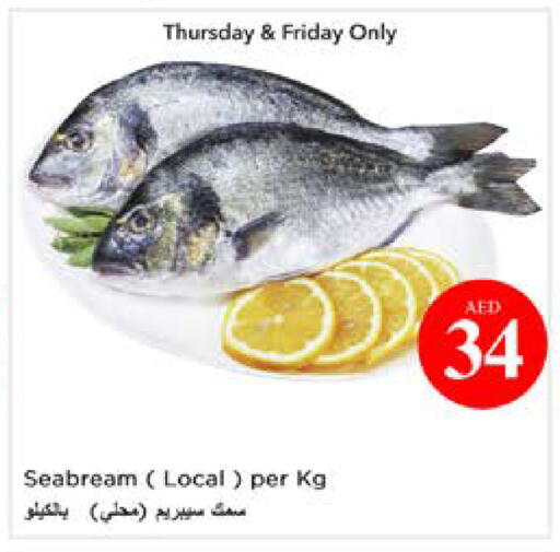 available at نستو هايبرماركت in الإمارات العربية المتحدة , الامارات - أبو ظبي