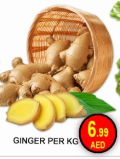 Ginger available at جرين جيفت متجر أقسام in الإمارات العربية المتحدة , الامارات - دبي
