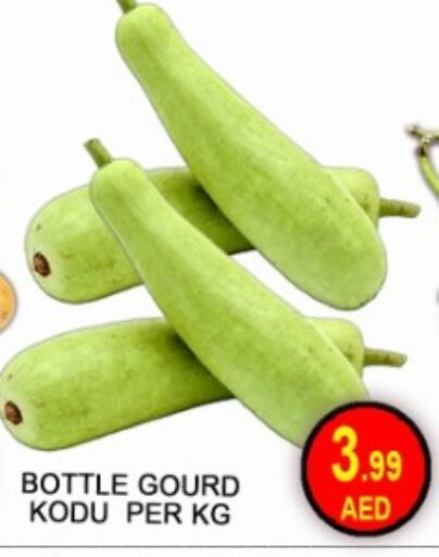 available at جرين جيفت متجر أقسام in الإمارات العربية المتحدة , الامارات - دبي