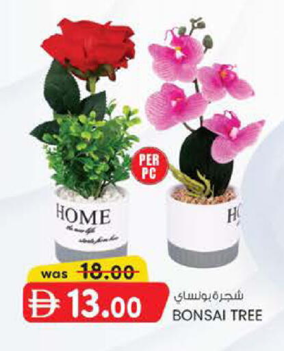available at صفا اكسبريس سوبرماركت in الإمارات العربية المتحدة , الامارات - ٱلْعَيْن‎