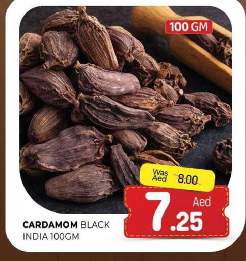 Cardamom available at المدينة in الإمارات العربية المتحدة , الامارات - الشارقة / عجمان