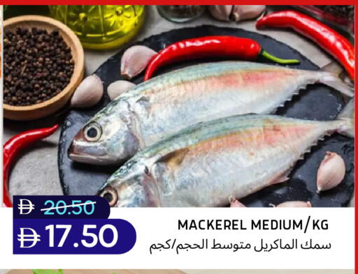 available at سيليكت ماركت in الإمارات العربية المتحدة , الامارات - أبو ظبي