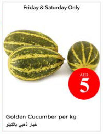 Cucumber available at نستو هايبرماركت in الإمارات العربية المتحدة , الامارات - أبو ظبي