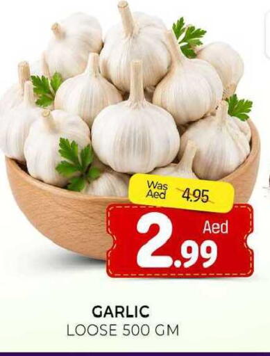 Garlic available at المدينة in الإمارات العربية المتحدة , الامارات - الشارقة / عجمان